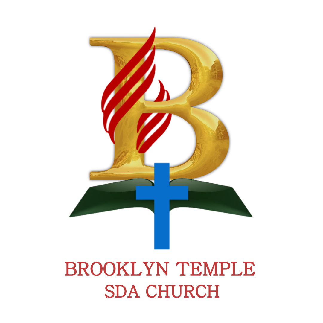 BT logo.png